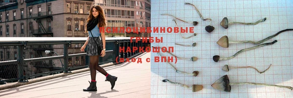 прущая мука Арсеньев